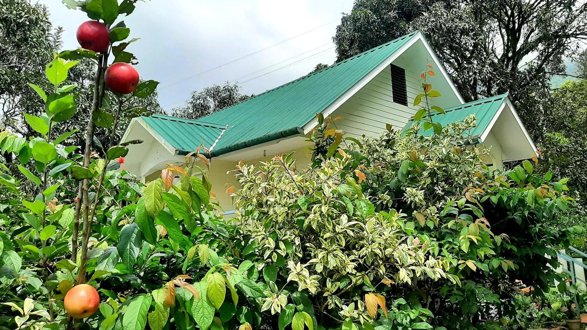Summer Dew Anachal ภายนอก รูปภาพ